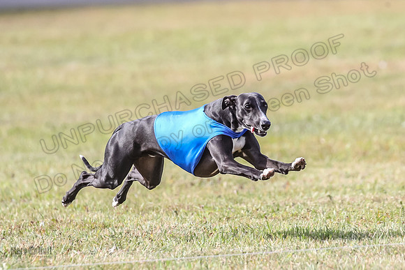 Finals Hank-3558