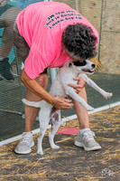 3H-BH-0810-Crazy8-3890