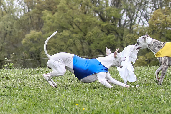 Finals Open C4, Ripley Prim Synner-0773