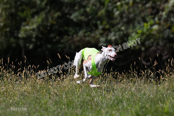 Open Prelim B2, Latte, Wizard-7887