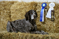 HO4A8960