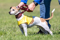 Rocki Girl-6472