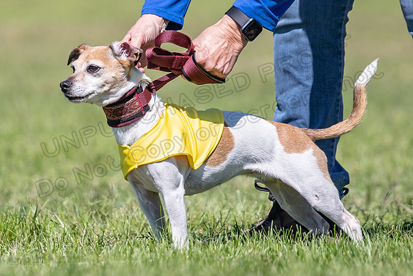 Rocki Girl-6472