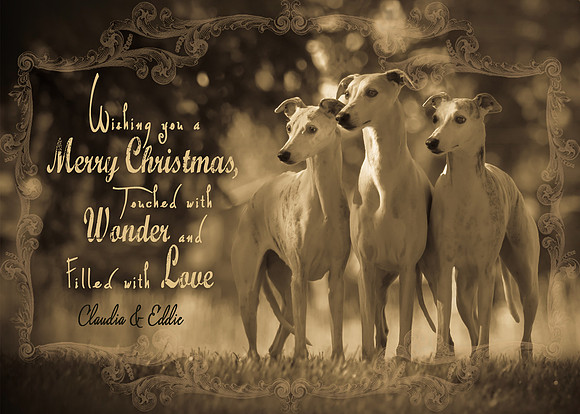Miller 2016 Christmas Card