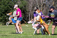 Prelims Fch 1 Ginny Willow Madyson-5416
