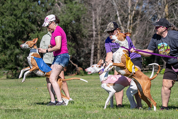 Prelims Fch 1 Ginny Willow Madyson-5416