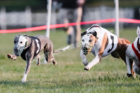 Prg 1, Race 9, Barley Press Sansa Carney Elia Clyps-9118