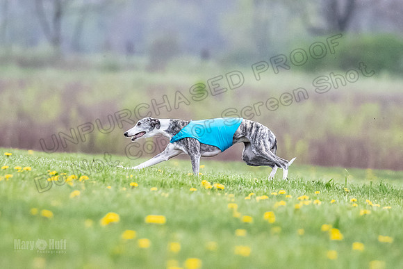 Finals Fch A1 Whisper Treble JesseJames-9083