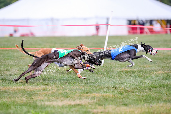 Prg 1, Race 16, Carl Maybe Bookie Sealli-0979