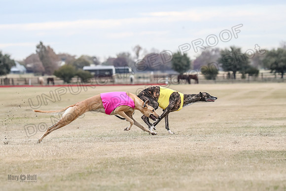 1Prelim Spec 1 Terra Bonnie-2595