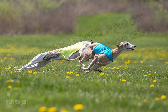 Finals Open E1 Risky Riptide Fennec-3384