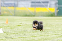 Cat Test 2-0997