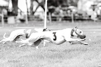 NOTRA Program 3, Race 2, Victor Flair Cinder Piper-K-2-5