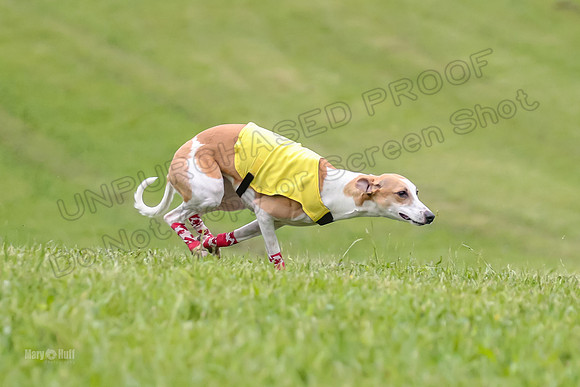 Prelim Open E2, Riddle Finely Scarlet-4831