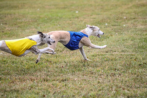1 Prelims Open 1 AnnieOakley Fennec Zero-1262