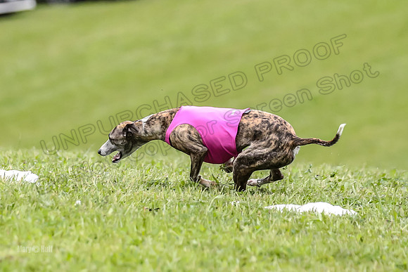 Prelim Fch 1,  Prim Shelby Ember-5198