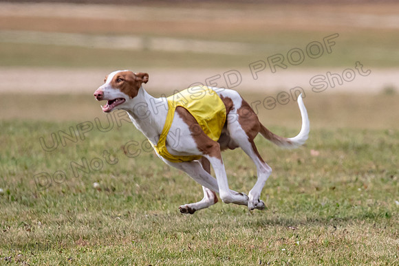 Finals Open 1 Jagger Maverick-3021