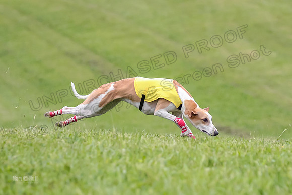 Prelim Open E2, Riddle Finely Scarlet-4830