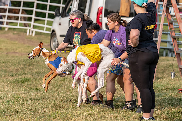 1prelims Fch 1prelim 1 Willow Fable Penny-3465
