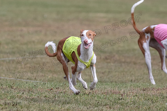 Finals Fch 1 Beastie Jadis Ginny-7905