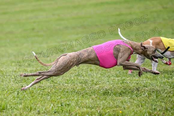 Prelim Open E2, Riddle Finely Scarlet-4841