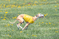 1Prelims Veterans 1 Rosa Marley Luna-1628