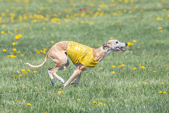 1Prelims Veterans 1 Rosa Marley Luna-1628