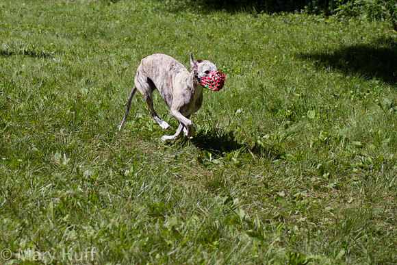 IMG_5145