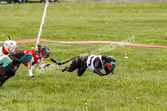 NOTRA Program 4, Race 1, Warrior Barley Flair Victor-2-16