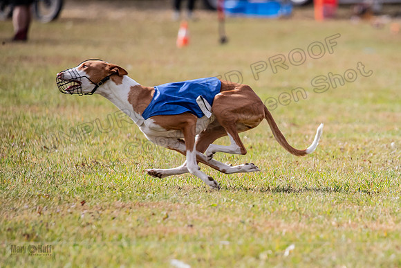 Finals Fch 1 Penny Jadis Madyson-3118