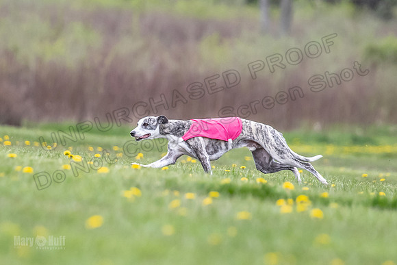 Finals Fch B1 Elan Arlo Arrow-9388
