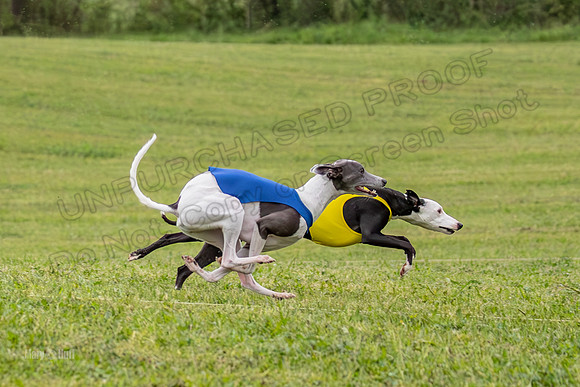 Prelims Open A2, Poppy Mateo Misty-3187