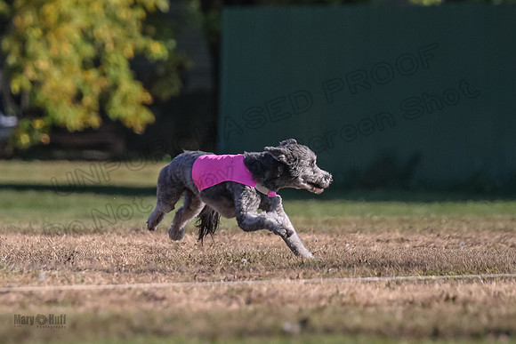 Ellie-4471