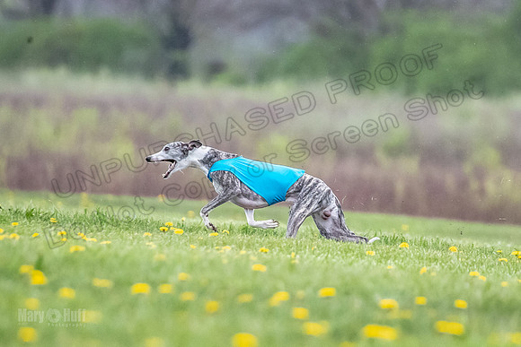 Finals Fch A1 Whisper Treble JesseJames-9081
