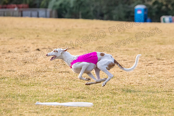 1prelims Open 2 Maverick Argos Carly-3268