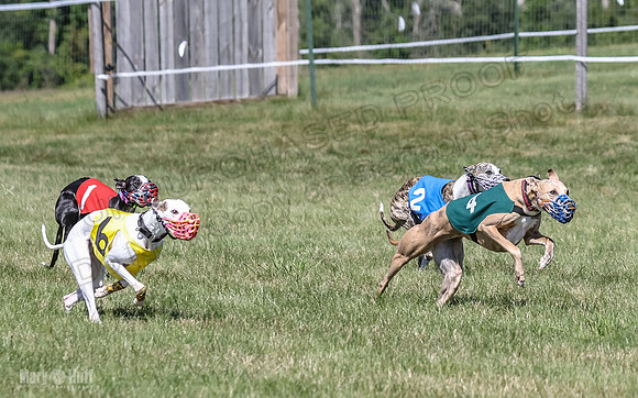Program 2, Race 2 Jett Trillian Fia Roxy Gambit Mimic-4050