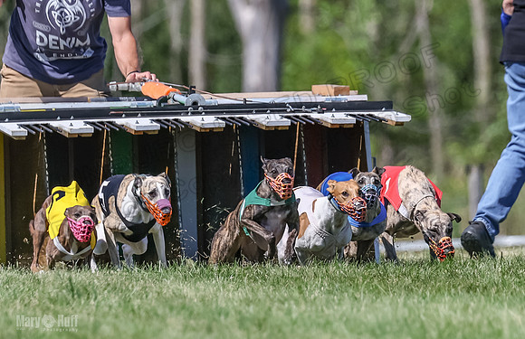 Program 2, Race 6 Ullr Veela Conway Talim-4337