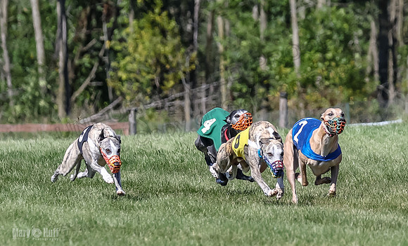 Program 2, Race 3 TheFonz Zelda Sneakers Bogie Blaze Denim-4131-2