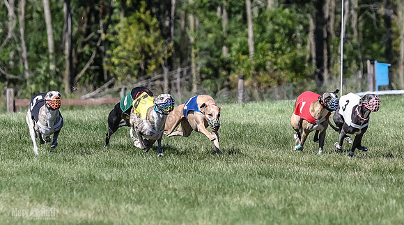 Program 2, Race 3 TheFonz Zelda Sneakers Bogie Blaze Denim-4129