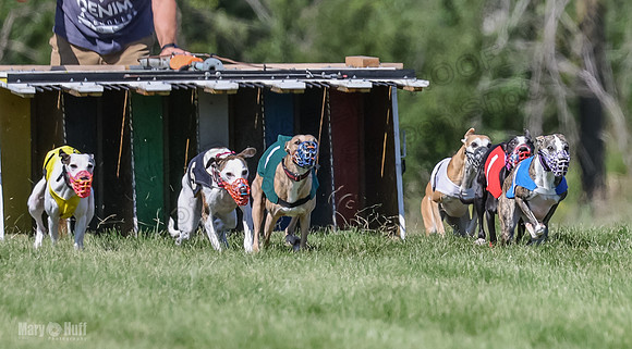 Program 2, Race 2 Jett Trillian Fia Roxy Gambit Mimic-4031