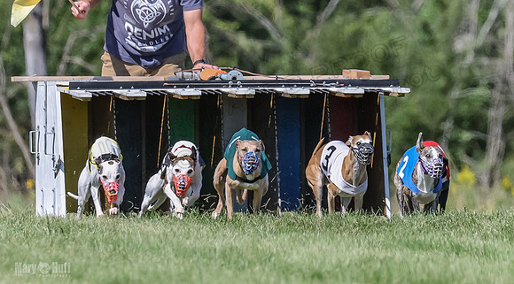 Program 2, Race 2 Jett Trillian Fia Roxy Gambit Mimic-4027