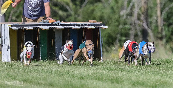 Program 2, Race 2 Jett Trillian Fia Roxy Gambit Mimic-4033