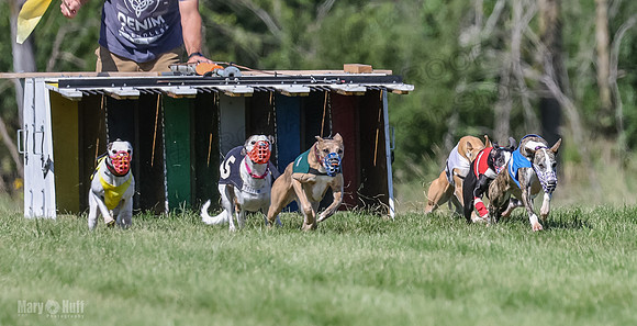 Program 2, Race 2 Jett Trillian Fia Roxy Gambit Mimic-4032