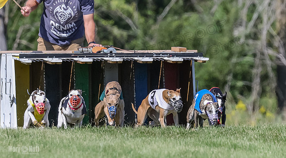 Program 2, Race 2 Jett Trillian Fia Roxy Gambit Mimic-4026