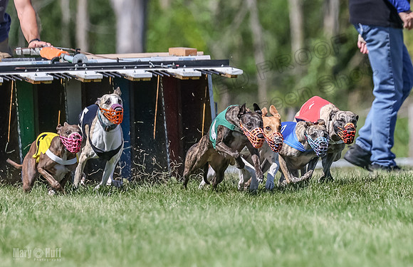 Program 2, Race 6 Ullr Veela Conway Talim-4341