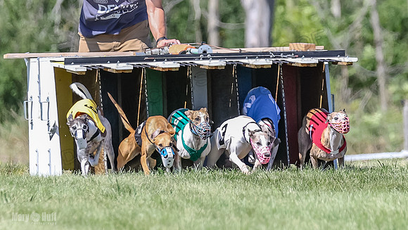 Program 2, Race 5 Tempy Clover Tizzy Pearl EllieMae Riley-4238