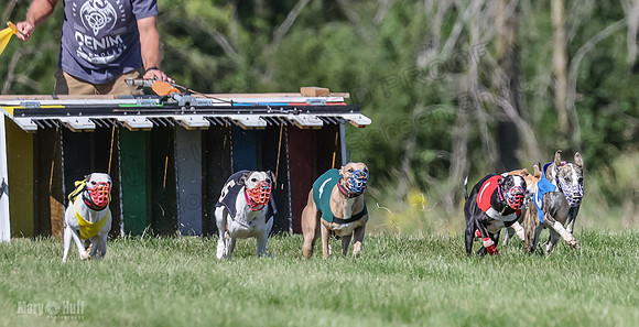 Program 2, Race 2 Jett Trillian Fia Roxy Gambit Mimic-4035