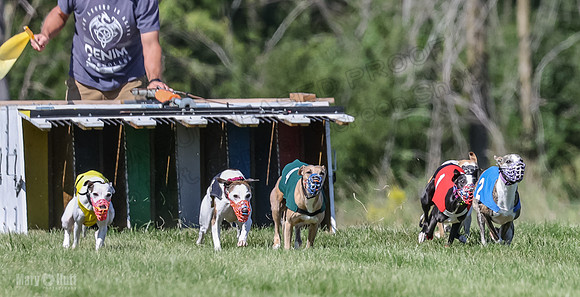 Program 2, Race 2 Jett Trillian Fia Roxy Gambit Mimic-4034