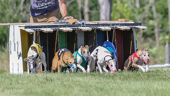Program 2, Race 5 Tempy Clover Tizzy Pearl EllieMae Riley-4239