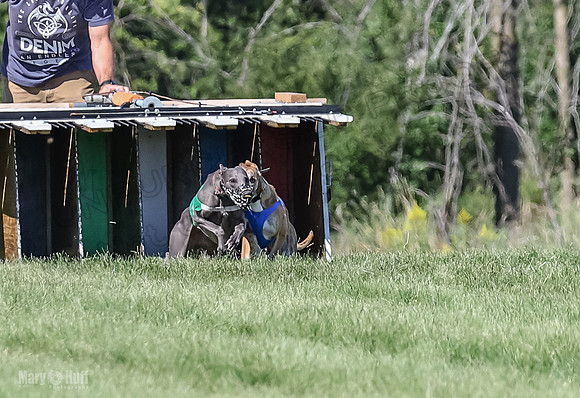 Program 2, Race 1 Hex Smokey-3964